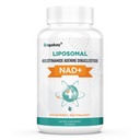 Orgabay NAD liposomique + Supplément 500 mg, Absorption élevée, Boost NAD+ avec TMG 250 mg, Réel NAD Plus plus plus efficace que le riboside de Nicotinamide, Soutien énergie cellulaire, Vieillissement en santé