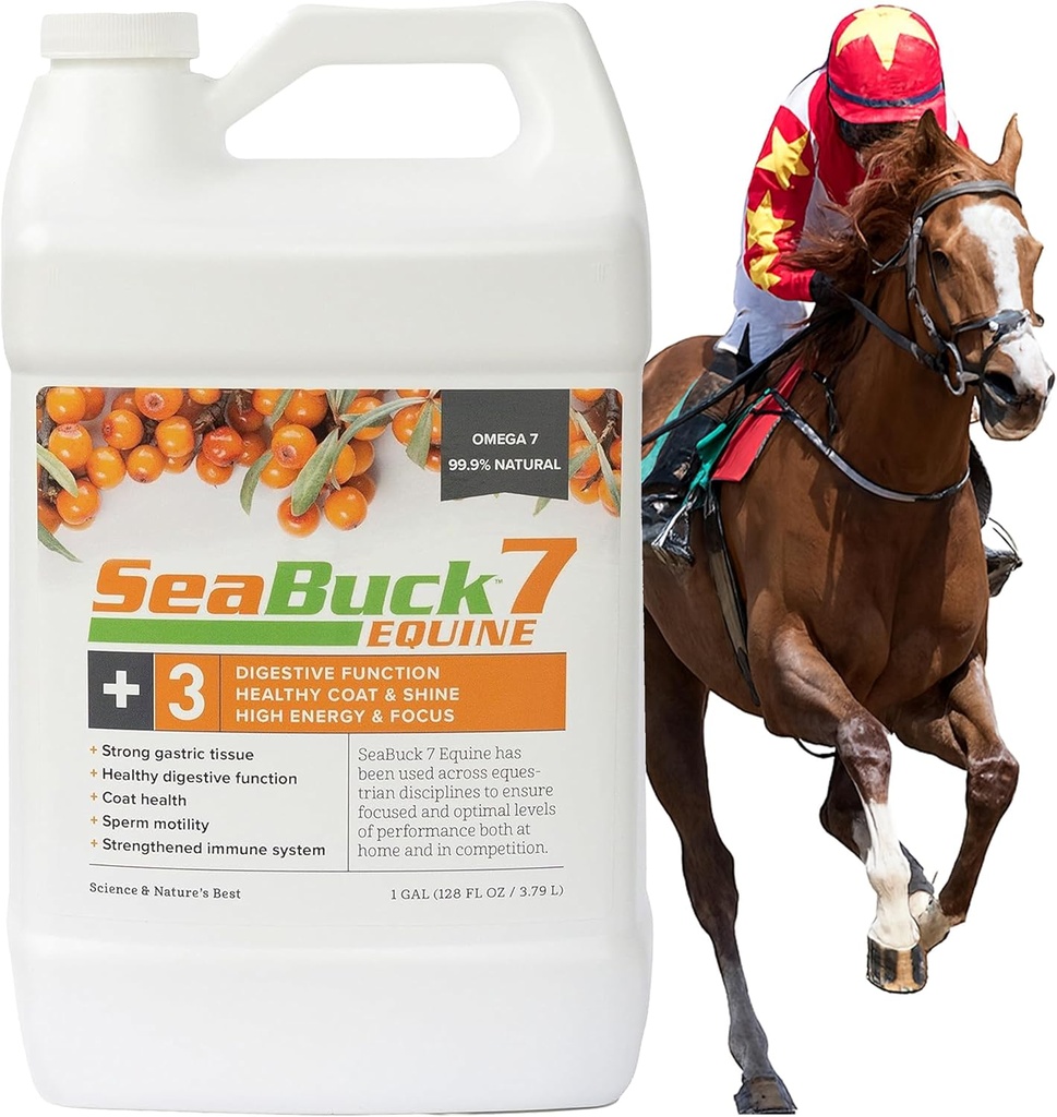 SeaBuck 7 Supplément Hippique pour chevaux avec Buckthorn pour améliorer la santé des chevaux (3-6 semaines d'approvisionnement, 1 Gallon) – Soutient la saine alimentation et la digestion, l'augmentation de l'énergie/focus et les manteaux brillants pour chevaux