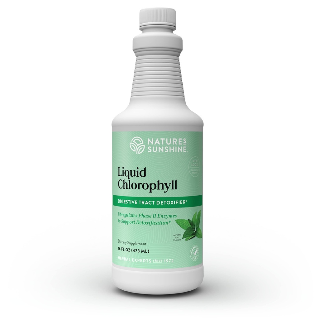 Nature's Sunshine Liquid Chlorophyll - Immunitätsunterstützung, Detox & Cleanse, Chlorophyll Flüssigkeitstropfen mit Spearmint Oil, Natural Energy Boost, interner Deodorant - 16 Fl Oz