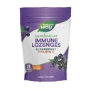 Naturweg Sambucus Immun Lozenges, Hohe Potenz Vitamin C, Elderberry, 24 Tropical Flavored Lozenges (Packaging Mai Vary)