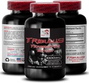 Natural Stamina Boost - TRIBULUS TERRESTRIS Extrait - Soutien de la force et de l'activité, Formule d'optimisation de l'énergie, Puissance végétale, Mélange de performance corporelle, Récupération active, Flux d'énergie 1Bot 90Tabs
