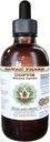 Coptis Alcohol-Free Liquid Extract, Coptis (Rhizoma Coptidis) Getrocknete Wurzel Glycerit Hawaii Pharm natürliche Kräuterergänzung 2 oz
