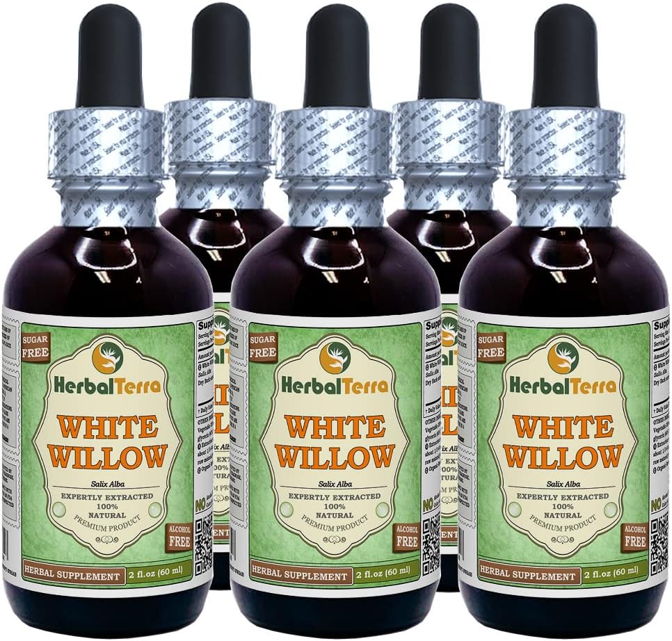 White Willow (Salix Alba) Glycerite, Organic Dried Bark Alcohol-FREE Liquid Extract (Markenname: HerbalTerra, Proudly made in USA) 5x2 fl.oz (5x60 ml)