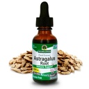 Natur Antwort Astragalus Wurzel Alkohol Kostenlose Kräuterergänzung 1 Unze ( 2 Packung) | Immununterstützung | fördert Herz-Kreislauf-Gesundheit | Natürliche Stress-Reliever
