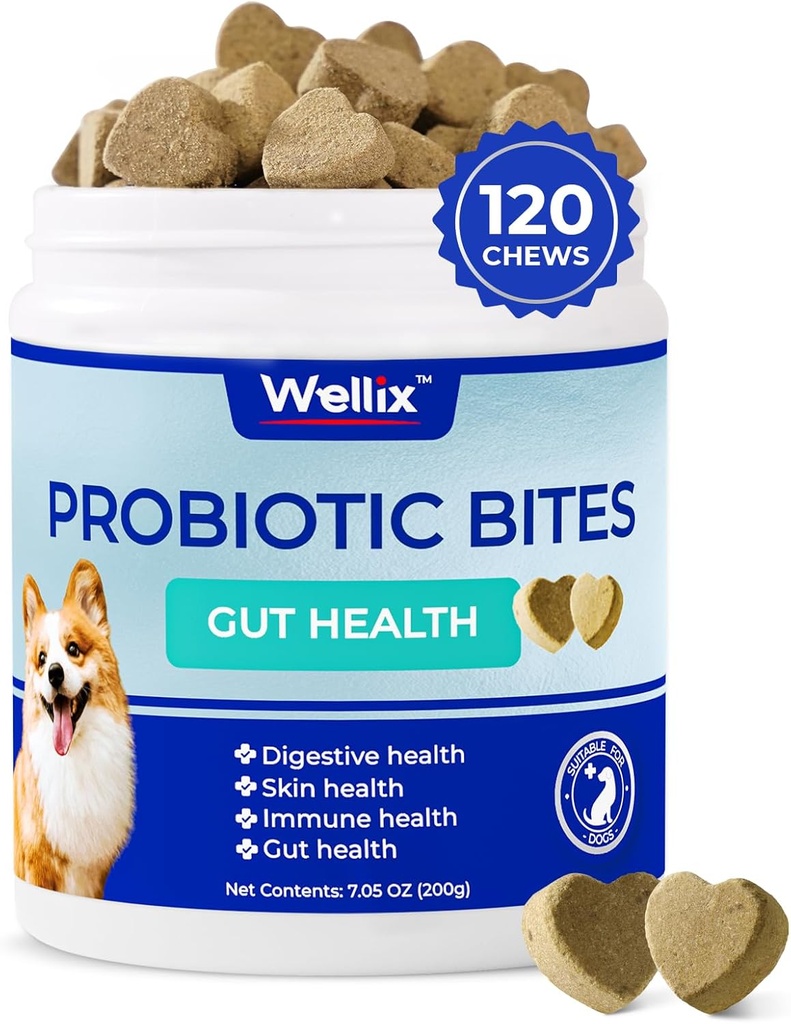Wellix Probiotics for Dogs - Dog Probiotic Chews for Dog Digestive Health, Verhindert Durchfall, Allergien - Anti Durchfall, Upset Stomach & Gas Relief