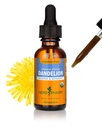 Extrait liquide de dandelion biologique certifié Herb Pharm pour nettoyage et désintoxication, glycérite sans alcool, 1 Fl Oz