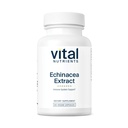 Vital Nährstoffe Echinacea Extrakt 1000mg | Vegan Echinacea Immununterstützungsergänzung | Gluten, Dairy, Soy Free | Non-GMO | 60 Kapseln
