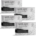 30.000 MG Shilajit Tablets, 100% Shilajit Pure, Himalayan Organic, Shilajit für Männer und Frauen Reich an Fulvic Acid & 85+ Trace Minerals, Shilajit Ergänzung für Energie und Immunsystem, 240 Zähler