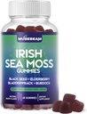 Irish Sea Moss Gummis - mit schwarzem Seed Elderberry Bladderwrack Burdock Turmeric Omega-3 Vitamine C D3 Zink - Seamoss Supplements für Erwachsene Frauen Männer - Sugar-Free Gluten Free Vegan