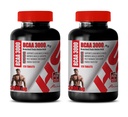 Muskelaufbau Pillen für Herren - BRANCHED Kette Aminosäure - BCAA 3000MG - bcaa Zug und Recover - 2 Flaschen 240 Tabletten