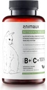 Animaux – nutriments pour les chats, vitamines de chat tout naturel, essentiels de chat pour renforcer le système immunitaire et la protection des cellules naturelles, peau saine et manteau brillant, 120 comprimés à croquer, 120 jours d'approvisionnement
