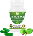 Capsules de Punarnava (Boerhaavia Diffusa) 500mg – 60 Capsules de Vég. Supplément de bien-être à base de plantes pour le rein naturel et le soutien du foie.