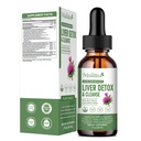 Leber-Gesundheit & Lymphatic Drainage Drops -Support Leberreiniger Detox & Repair mit Artichoke Milk Thistle Silymarin Extract, Dandelion,Turmeric, Berberine zu erneuern w/21 Potent Kräuter-Nutrients-60ml