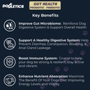 Gut Health Probiotic & Prebiotic - 90ct Soutien Stomach Microbiome, prévenir les problèmes digestifs, réduire les problèmes de Gland anal, améliorer la fonction immunitaire et l'énergie globale
