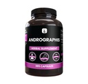 PURE ORIGINAL INGRÉDIENTS Andrographis Paniculata, (365 Capsules) Toujours pur, sans additifs ou remplissages, laboratoire vérifié