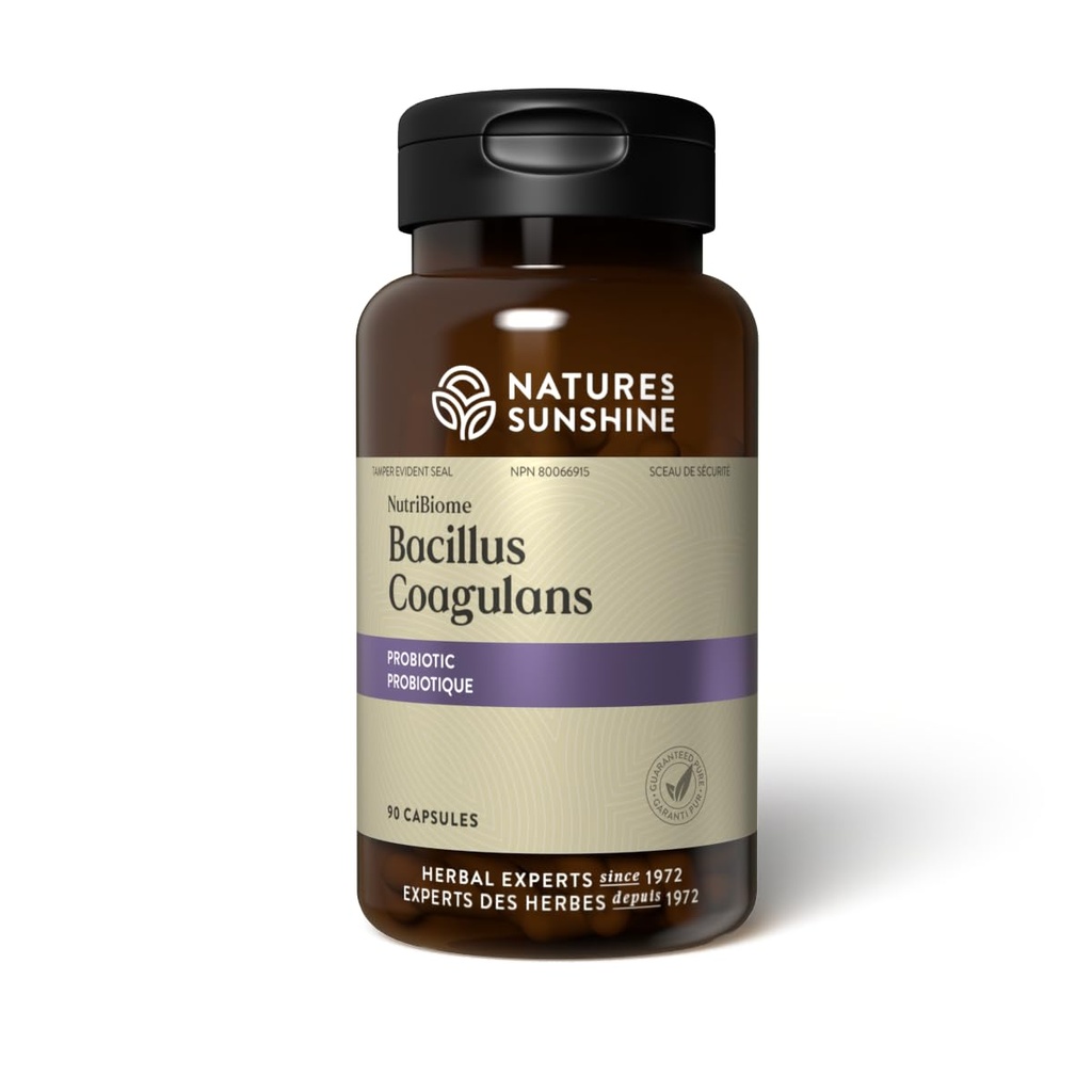 Nature's Sunshine Nutribiome Bacillus Coagulans Probiotics, 90 Kapseln | 3 Billion CFU von Bacillus Coagulans Probiotic Hilft vor Verdauungsstörungen und okzialen Durchfall, Gas und Bloating