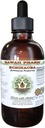 Hawaii Pharm Echinacea Alkoholfreie Flüssigextrakt, Echinacea (Echinacea Purpurea) Getrocknete Wurzel Glycerit natürliche Kräuterergänzung 2 oz