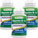 Best Naturals Vitamin B-12 als Methylcobalamin (Methyl B12), 6000 mcg 120 Sublingual Tablets (120 Count (Pack von 3))