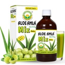 Basic Ayurveda Gooseberry + Aloe Vera Juice – 16.23 Fl Oz (480ml) | 50-Fifty Kräutermischung für Immunität, Verdauung & Haut Gesundheit | Amla & Aloe Blend | 100% Natürliche | Täglich Ayurvedische Tonic