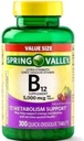 Frühlingstal B12 5000mcg 300ct Stoffwechselunterstützung