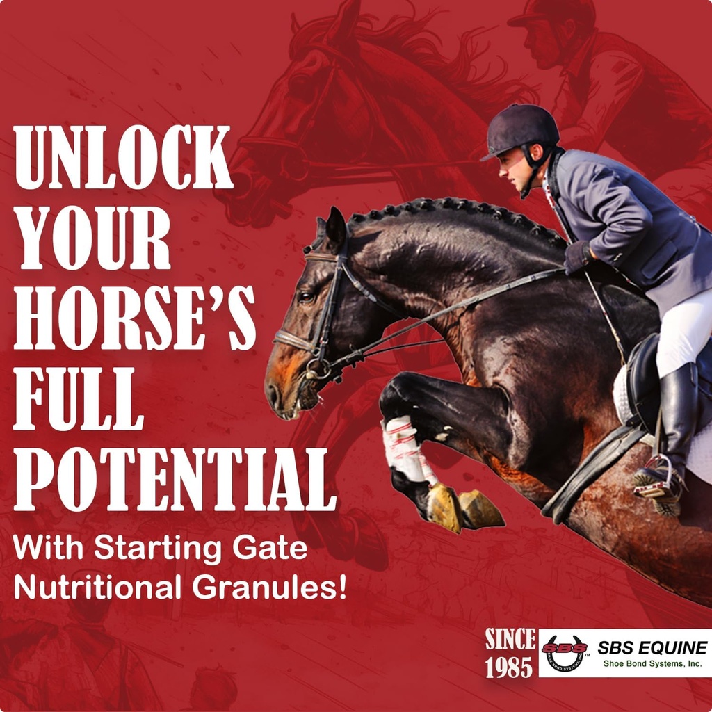 Granules de départ Hippique SBS - Traitement de l'ulcère de l'estomac de cheval et soulagement de l'ulcère, formule de supplément de cheval pour nourrir, préparation parfaite en tant que complément de toit (5 Gallon)