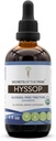 Hyssop USDA Organic | Alkoholfreier Extrakt, hochwirksame Kräutertropfen | Hergestellt aus 100% zertifiziertem Bio-Hyssop (Hyssopus officinalis) getrocknetes Kräuter (4 oz)