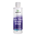 Swanson Concentrace Trace Mineral Drops 8oz-Complete Mineral Complex für Energie, Hydration, & Elektrolyt Balance über 72 hoch absorbierende ionische Mineralien wie Magnesium, Kalium, Calcium