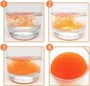 Haematococcus pluvialis Extrait astaxanthine (ASTA) Poudre microcapsule 2,5 % CLHP, SCF instantanée, 100 grammes (3,5 oz.)
