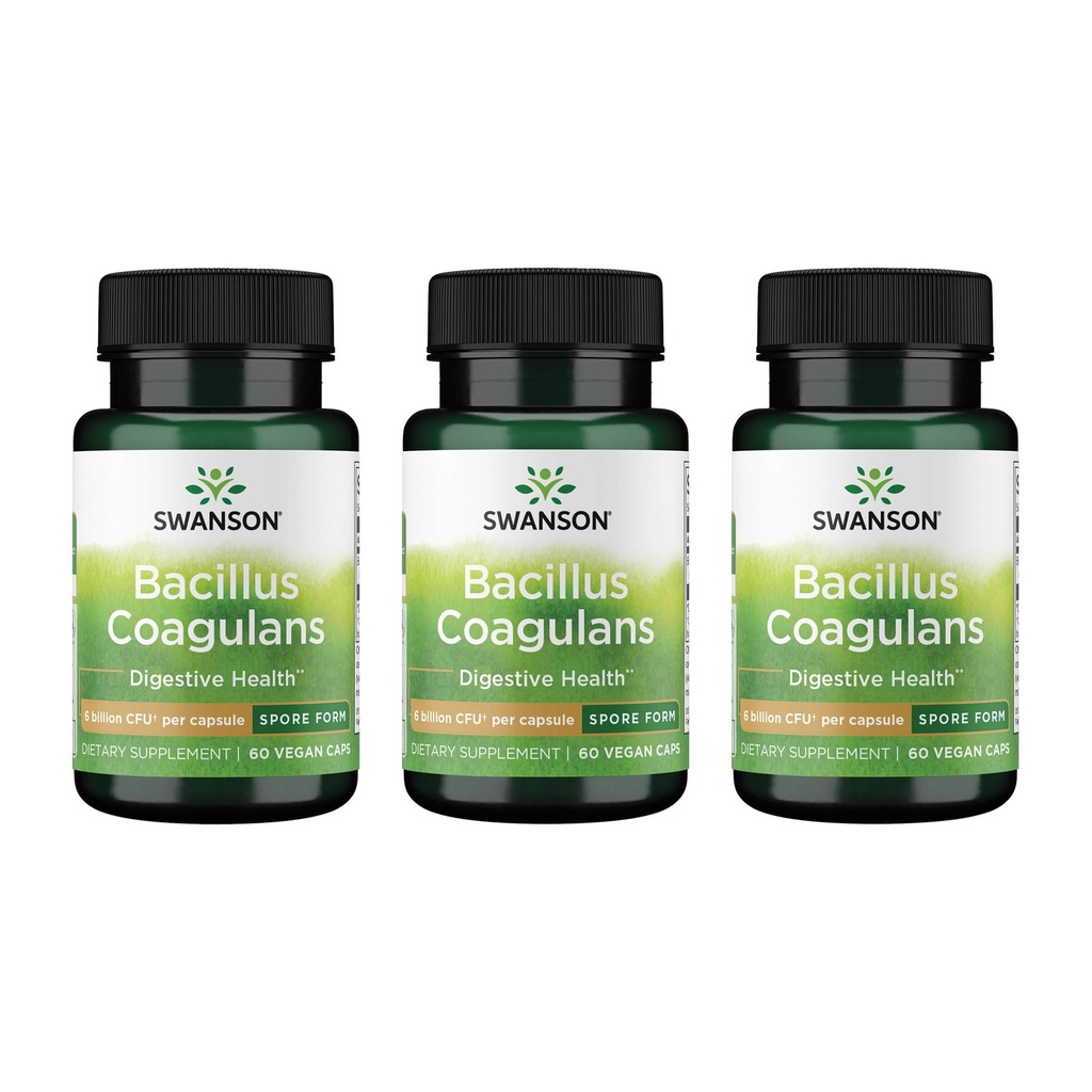 Swanson Bacillus Coagulans - Supplément probiotique naturel à l'appui de la santé digestive w/ 6 Million UFC - Peut soutenir l'IG et la santé globale des gant - (60 capsules de Veggie) 3 Pack