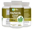 Papaya Blatt Extrakt Kapseln (Tabellen) - 500 mg 240 Pillen, unterstützt Platelet Immunität & Verdauung - 60 Tage Versorgung