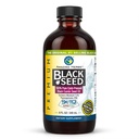 Erstaunliche Kräuter Premium Schwarzes Samenöl - Glutenfrei, Non GMO, kalt gepresst Nigella Sativa Aids in Verdauungsgesundheit, Immununterstützung, Gehirnfunktion - 8 Fl Oz