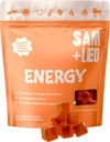 SAM+LEO Energiegummis für Kinder mit Biotin, Vitamin C, B3, B6 und B12 - All Natural & Vegan Gummy for Energy & Focus Supplement for Kids - Stress & Digestive Support, Erdbeergummis - 60/