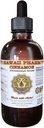 HawaiiPharm Cinnamon Liquid Extract, Cinnamon (Cinnamomum Verum) Bark Pulver Zutat 4 oz