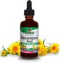 Natur Antwort Elecampane Root 2 Unzen. Low Organic Alcohol 2000mg - Kräuterergänzung - Non GMO & Kosher - Low Alcohol Gluten Free 100% Vegan - 2 FL Oz