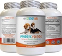 probiotics for Dogs chewable - Dog PROBIOTICS - Bad Breath and Passing Gas Solution - Oral Health - fos Formula - 1 Flasche (60 Treats)