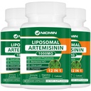 Supplément d'artémisinine liposomique 1000mg, Extrait de wormwood doux avec 200mg Quercetin Phytosome, Absorption maximale pour Antioxydant 180 Capsules
