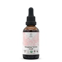 Sting Nettle Leaf USDA Organic Alcohol-Free Extract | Nahrungsergänzung, Hochfeste Tinktur | Natürliche zertifizierte organische Sting Nettle (Urtica Dioica) Getrocknete Blatt (2 oz)