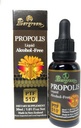 Evergreen Propolis Liquid Alcohol-Free Tincture 30ml PTF1170 (enthält 1170 Propolis Flavonoid) Made in Neuseeland