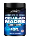 VITAMISAN Celulas Madres 180 Capsules - Stem Cell Blue Green Algae - Non GMO -Gluten Free AFA -Celula Madre Supplement - Lion's Mane Beta Glucan unterstützt gesundes Aging & Promotes Immun Spirulina.