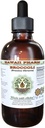 Hawaii Pharm Broccoli Alkoholfreie Flüssigextrakt, Bio Broccoli (Brassica Oleracea) Seed Glycerite Natürliche Kräuterergänzung 4 oz