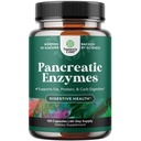 Natures Craft Pancreatin Enzymes digestifs pour la santé digestive - Enzymes pancréatiques pour les humains avec des glucides gras et des protéines femmes et hommes - Protease Amylase & Lipase Digestion -120ct
