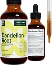 Dandelion Root 4 fl oz extrait liquide - supplément naturel à base de plantes pour nettoyer, la fonction digestive et l'immunité - Taraxacum biologique officinale - Taille de la famille - gouttes de haute puissance - 90 jours d'approvisionnement