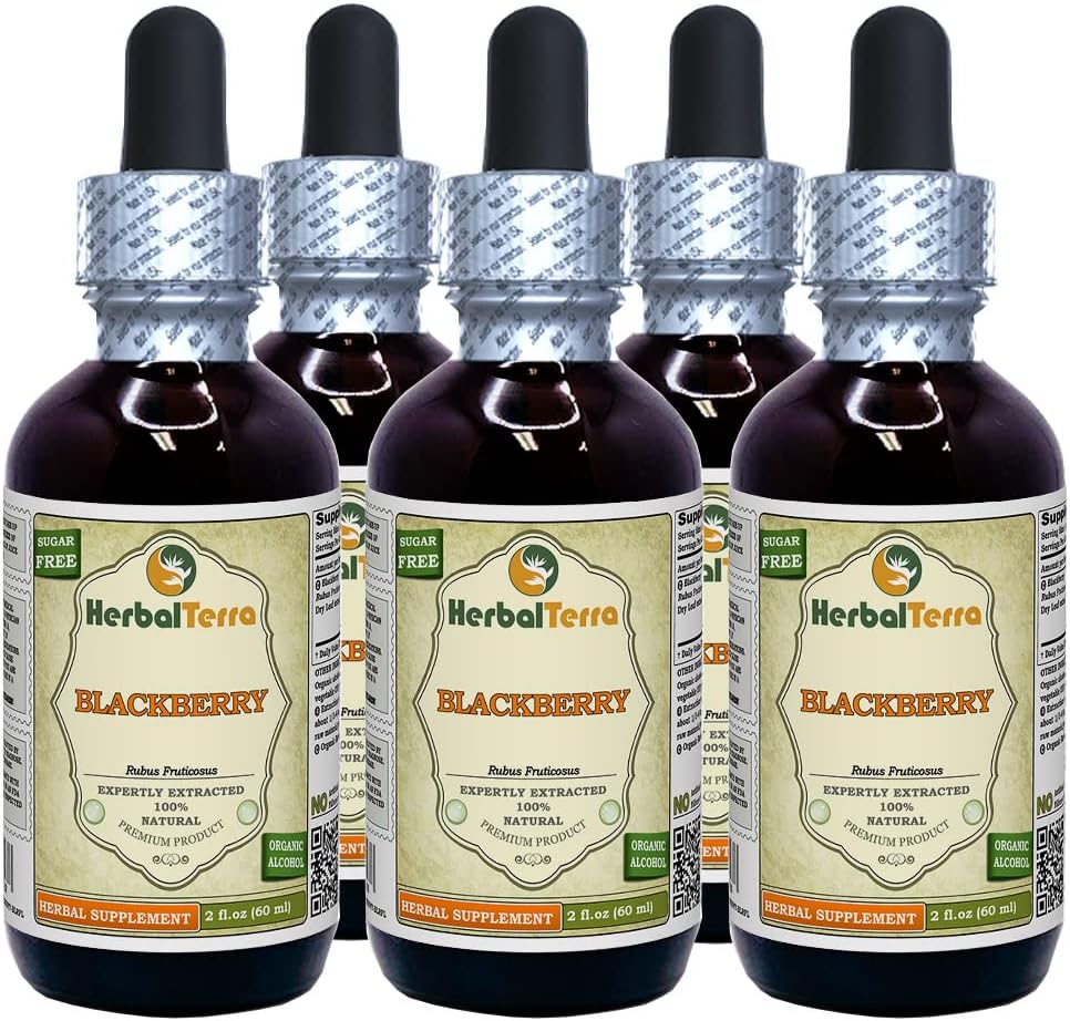 BlackBerry (Rubus fruticosus) Tincture, Organic Dried Leaves Liquid Extract (Markenname: HerbalTerra, Proudly Made in USA) 5x2 fl.oz (5x60 ml)