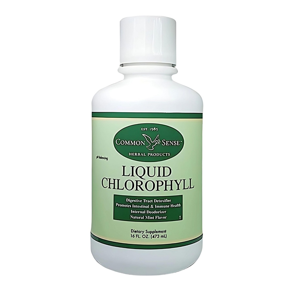 Flüssige Chlorophyll 16oz. | Natürliche Minze Geschmack | Immune Gesundheit | Darmunterstützung