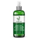 Alle natürlichen Eczema Behandlung- Psoriasis Behandlung - eine All-in-One Lösung für Akne, Dermatitis, Rosacea, kalte Sores, Biss, Gift Ivy - Anti-Itch Spray für juckende Haut Relief 4oz