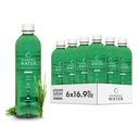 Eau de chlorophylle – Liquid Chlorophylle 6-Pack (16.9oz)