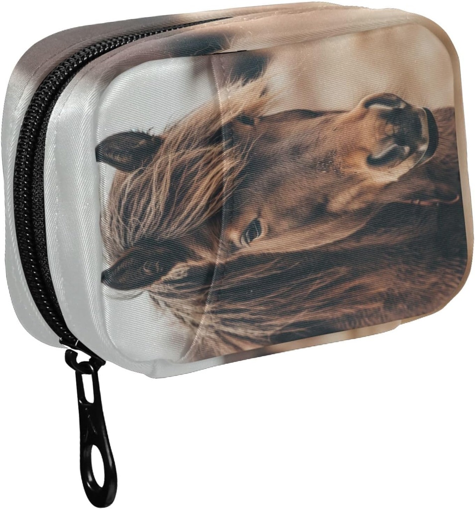 Fustylead Brown Mane Horse Schließen Pill Organizer Case mit Reißverschluss 2 mal ein Tag für Vitamin und Ergänzung, 7 Tage Reise Organizer Medizin Fall