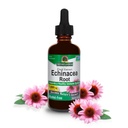 Nature's Answer Echinacea Extract | Unterstützt ein gesundes Immunsystem | Vegan, Glutenfrei, Alkoholfrei, Non-GMO & Kosher Zertifiziert | 2oz