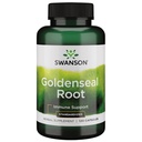 Swanson Goldenseal Root - Supplément à base de plantes Promouvoir le soutien immunitaire et le bien-être global - Caractéristiques Extrait de racine de selle d'or normalisé au minimum 5% Alcaloïdes totaux - (120 Capsules, 125mg chacun)