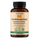 Supplément de soutien thyroïdien – Iodine, Kelp, Ashwagandha, Sélénium, Zinc – Soutient l'énergie, le métabolisme et l'équilibre hormonal – L-Tyrosine, Schisandra, Bladderwrack (paquet de 1)